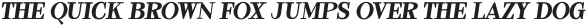 Reaktona Pixelated otf (400)