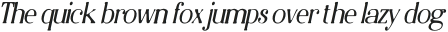 DelcyBlur-Italic otf (400)