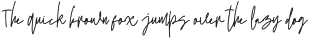 WollineNew Regular otf (400)