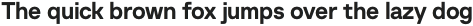 Baru Sans Bold otf (700)