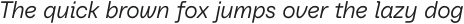 Baru Sans Light Italic otf (300)