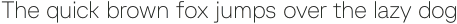 Baru Sans Thin otf (100)