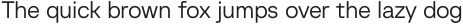Baru Sans Light otf (300)