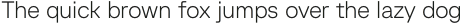 Baru Sans Extra Light otf (200)