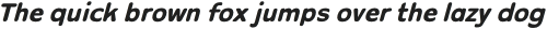 Gallant Rounded Black Italic otf (900)