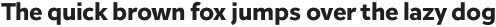 Inter Sans ExtraBold otf (700)