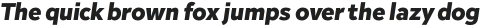 Inter Sans Black It otf (900)
