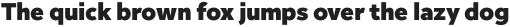 Inter Sans Heavy otf (800)