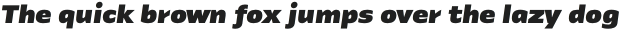 Identa Black Italic otf (900)