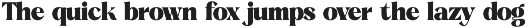 Beatnik Garden Decorative Serif preview