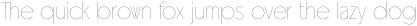 Universata Hairline Standard otf (100)