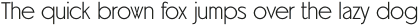 Universata Light Standard otf (300)