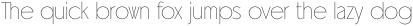 Universata Thin Standard otf (100)