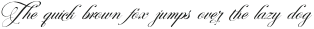 Perfecto Calligraphy Italic otf (400)
