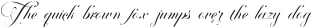 Perfecto Calligraphy Thin otf (100)