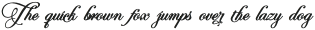 Perfecto Calligraphy Bold otf (700)