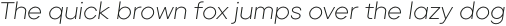 Backgammon Pro Light Italic otf (300)