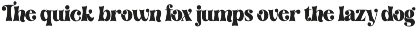 Retro Dingo - Modern Vintage Serif preview
