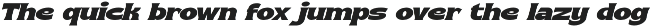 Buckson - Retro Serif Font preview