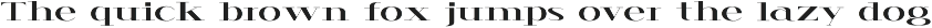 Verve - Modern Serif Font preview