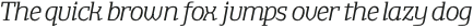 TA Shusha Light Italic otf (300)