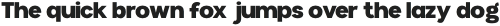 Munich Pro ExtraBold otf (700)