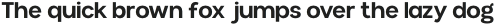 Munich Pro SemiBold otf (600)