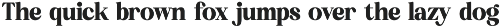 Bredga Decorative Serif Font preview