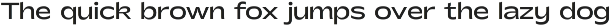 Shinko Sans | Humanist Wide Font preview