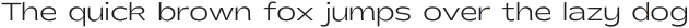 Shinko Sans Light otf (300)