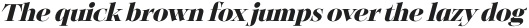 Solena Pro Black italic otf (900)