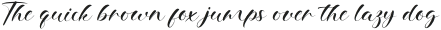 Willowdeen Script otf (400)