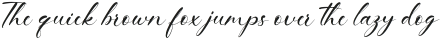 Ruthanne Script otf (400)