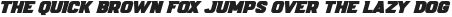 DarkSport Bold Italic otf (700)