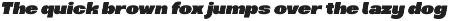 Napole Bold Sans preview