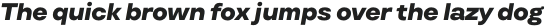 TT Travels Text Black Italic otf (900)