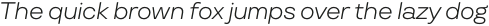 TT Travels Text Light Italic otf (300)