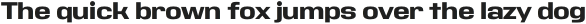 Address Sans Pro Xt ExtraBold otf (700)