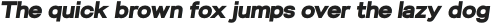 Blauer Nue Heavy_Italic otf (800)