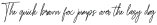 BesthinySignature otf (100)