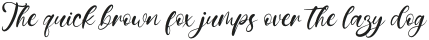 Nebula Script otf (400)