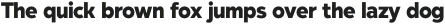 Kind Sans Heavy otf (800)