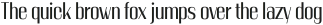 Beettemic Light otf (300)