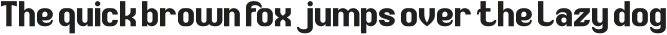 Typewriter Bold otf (700)