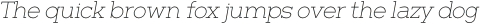Barnic Slab Thin Italic otf (100)