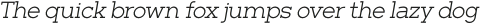 Barnic Slab Light Italic otf (300)
