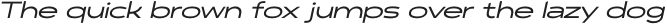 Polarix Italic otf (400)