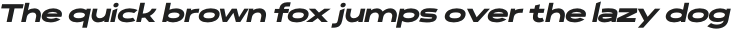 Polarix Heavy Italic otf (800)