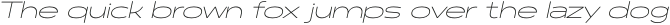 Polarix Thin Italic otf (100)