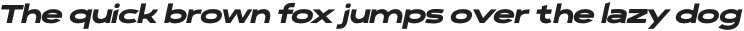 Polarix Black Italic otf (900)
